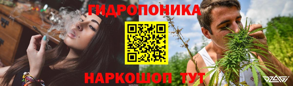Бошки марихуана марихуана  Бошки Шишки Ganja  Бошки марихуана OG Kush  Вход с VPN  Георгиевск 